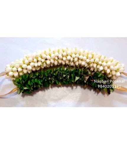 MFMC011-Nanthiyavattai-Veni-and-Green-Leaf-Veni-for-Wedding
