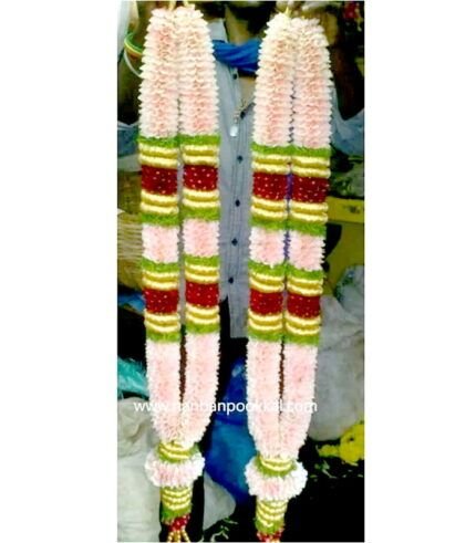 indian wedding garlands fresh flowers wedding garland for bride and groom garland for marriage price real flower garland for wedding flower garland for wedding near me lotus garland for wedding flower garlands for wedding Wedding garlands fresh flowers price Wedding garlands fresh flowers online shopping Wedding garlands fresh flowers online Wedding garlands fresh flowers near me Wedding garlands fresh flowers in india indian wedding garlands fresh flowers near me Wedding garlands fresh flowers in chennai price list Wedding garlands fresh flowers in chennai price Wedding garlands fresh flowers in chennai online Wedding garlands fresh flowers in chennai near me Wedding garlands fresh flowers in chennai contact number Best wedding garlands fresh flowers in chennai