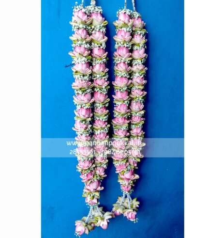 wedding garlands in chennai, wedding garland online, garland online delivery chennai in india, Indian wedding Garlands, Jaimala Varmala Order at Online, Lotus flower, Lotus Garland, Lotus wedding Garland, beautiful Lotus wedding Garlands in chennai,lotus garland for Wedding and Reception, Best Offers for Wedding Garlands Best Offers for You Wedding Garlands Today's Best Offers for You Wedding Garlands Today Offers Wedding Garlands in chennai Today's Offers flower garlands in chennai